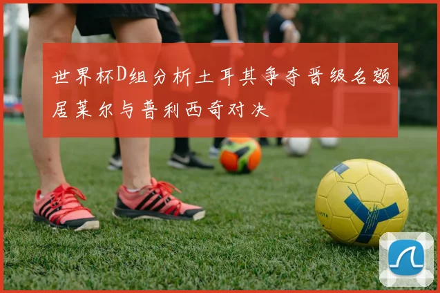 世界杯D组分析土耳其争夺晋级名额居莱尔与普利西奇对决