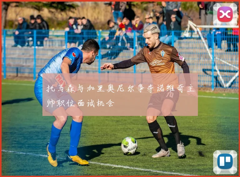托马森与加里奥尼尔争夺诺维奇主帅职位面试机会